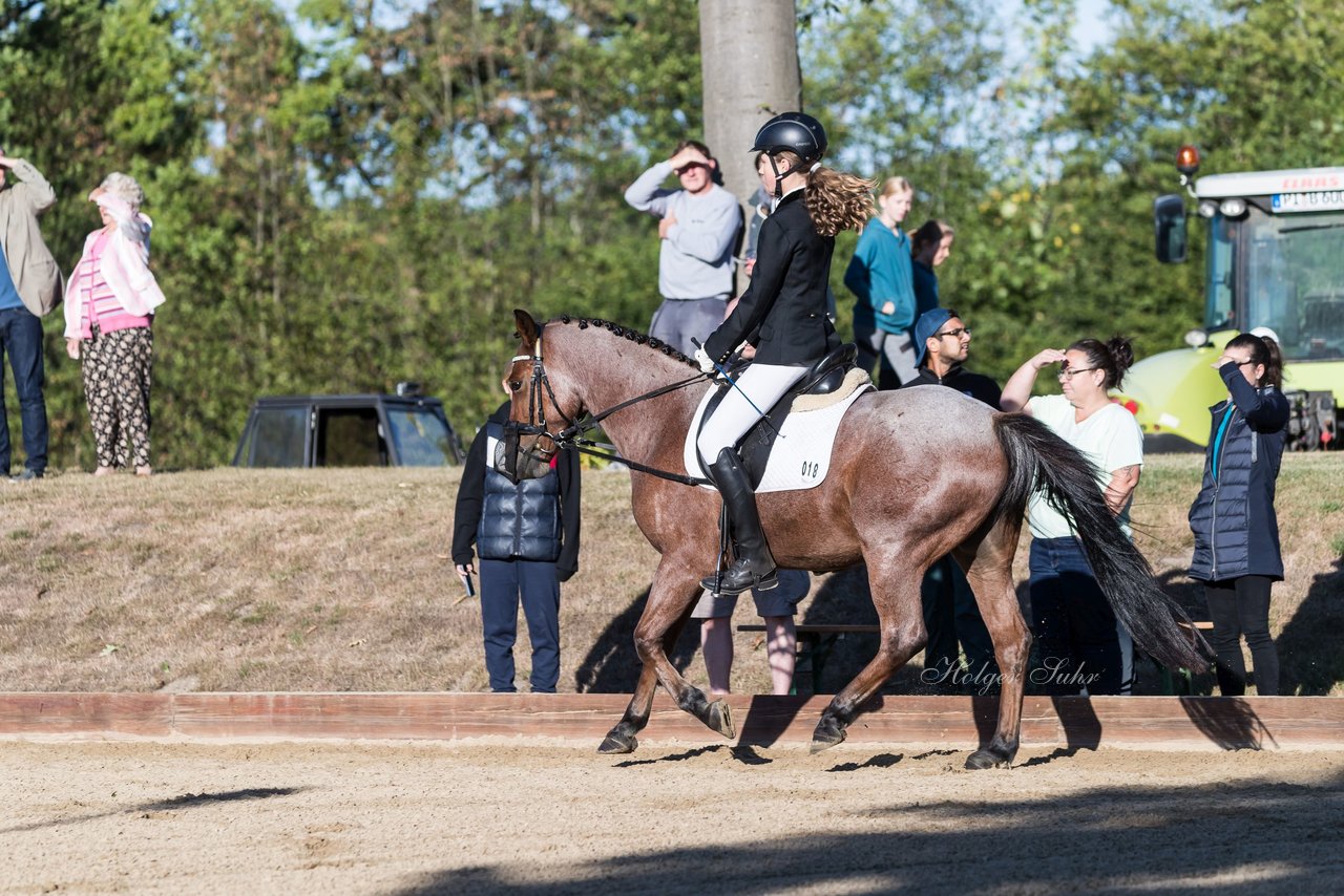 Bild 61 - Pony Akademie Turnier